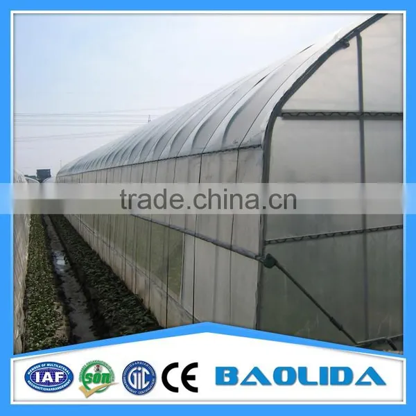 Agriculture Tunnel Plastic Commercial Greenhouse for Garden photo-2