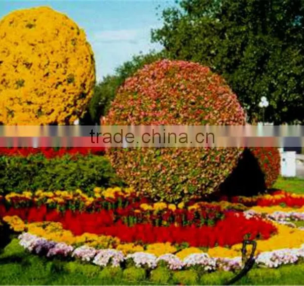 SOL 2015 Beautiful Ball Planter Garden Ball Planter Flower Ball Planter photo-2
