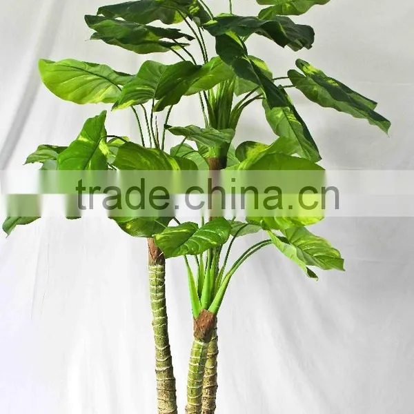 Wholesale Indoor Use Bonsai photo-5