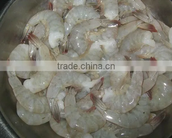 Shrimps Vannamei photo-2