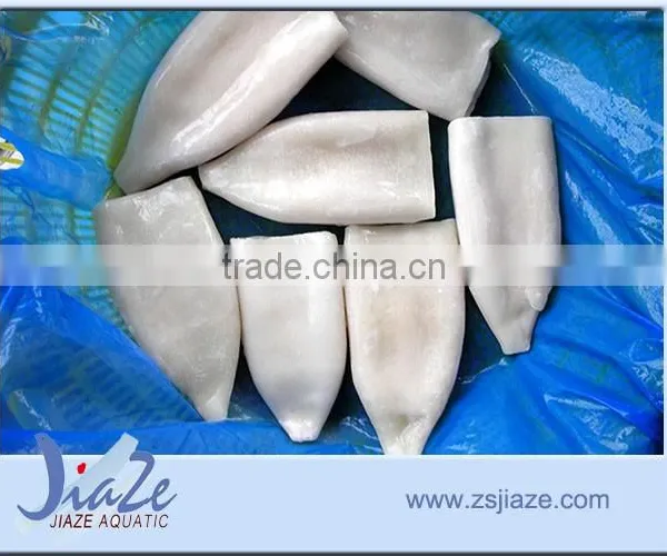 LATEST PROCESSING U5 U7 U10 FROZEN Squid Tube