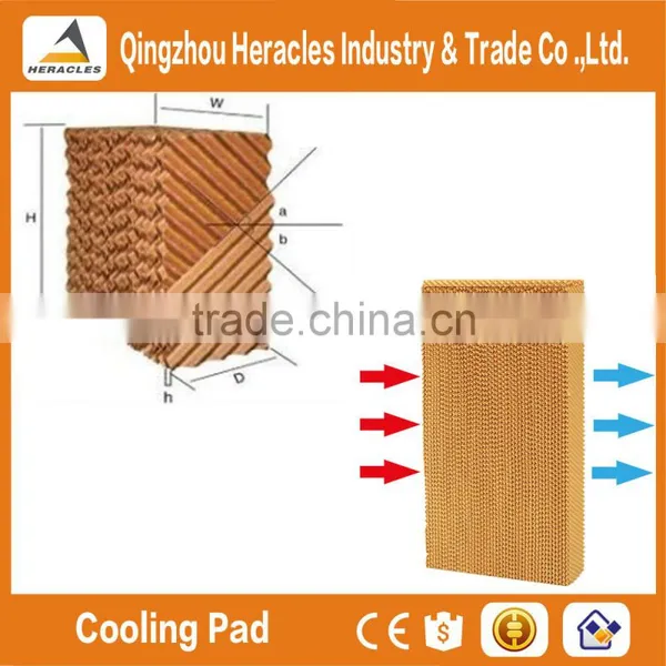 China Factory Price Trade Assurance Poultry Farming Equipment -feeders and Drinkers photo-5