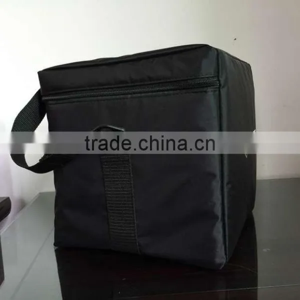New Arrival Promotional Disposable Cooler Bag for Frozen Food photo-3