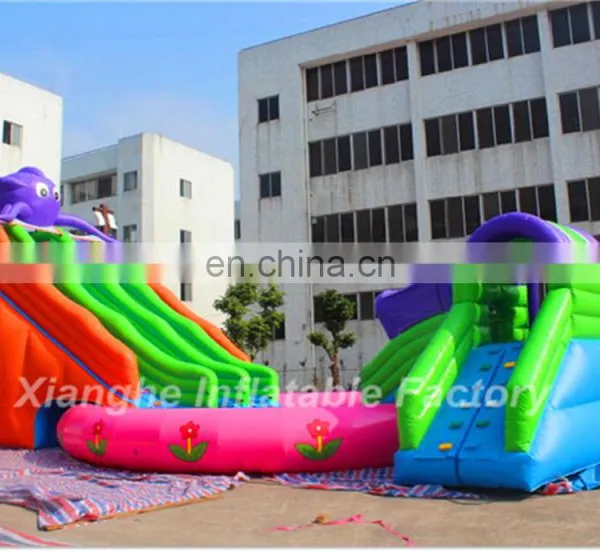 Large Summer Playground Equipment Swimming Big Water Slides for Sale photo-4