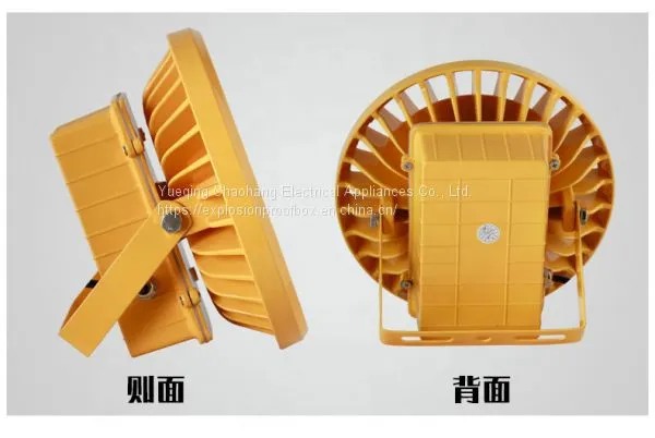 Ultra-bright and Explosion-proof Spotlights Gas Station Lamp The Led Lamp Outdoor Projection Lamp photo-3