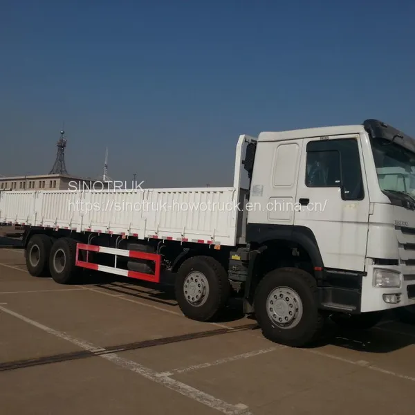 HOWO 8X4 Cargo Truck photo-2