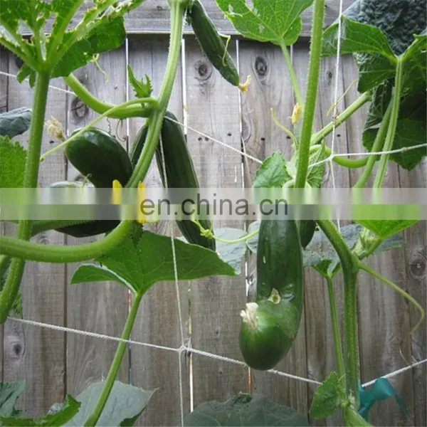 Plastic Plants Support Trellis Net for Creeper Plants Crop photo-2