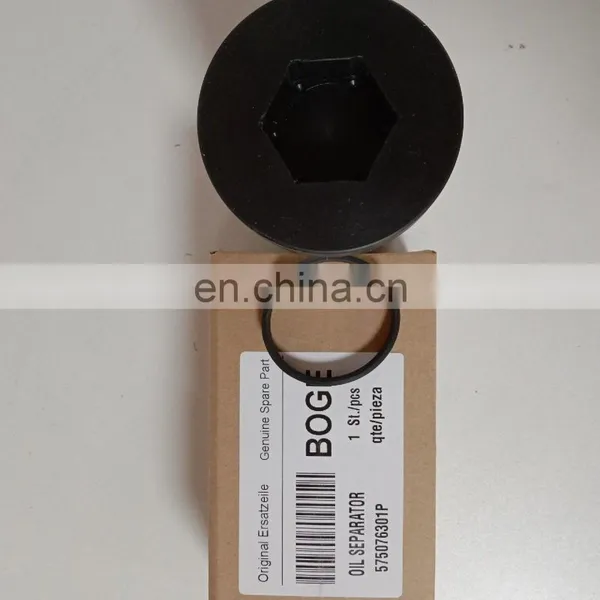 Boge Air Filter Parts Air Compressor Spare Parts Wholesale 575076301P Boge photo-3