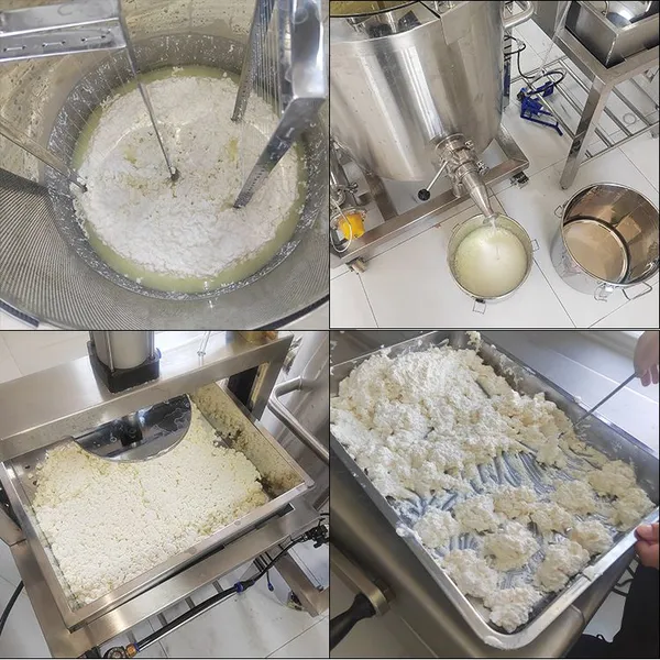 Fermented Milk, Cheese, Dairy Product Production Line, Whey Wine, Milk, Yogurt, Dairy Product Processing Machinery photo-2