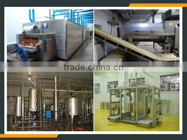 Leader Hot Sales Seabuckthorn Wine Process Line With Website:leaderservice005 photo-4