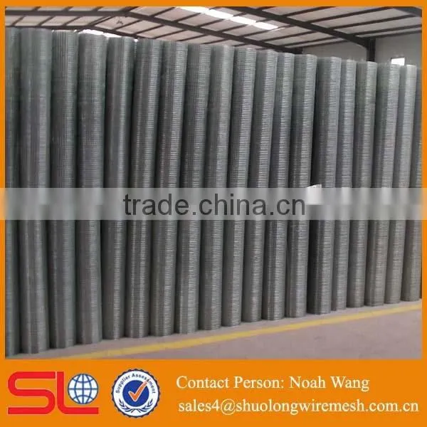 High Quality Galvanized Welded Wire Mesh photo-5