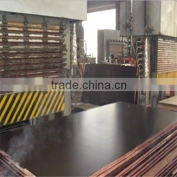 Black/Brown Poplar/Hardwood/Combi Core 18mm Film Faced Plywood photo-3