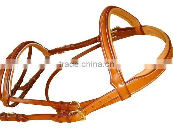 Leather Bridle