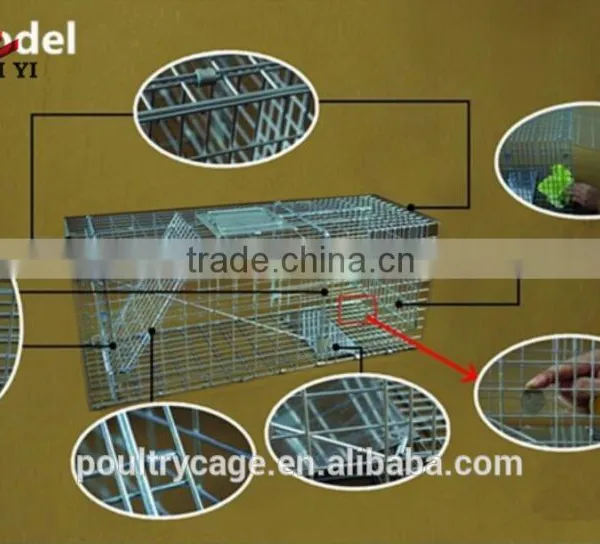 Factory Wholesale Zinc Plated Mouse Trap Cage And Mouse Trap Cage Construction photo-4