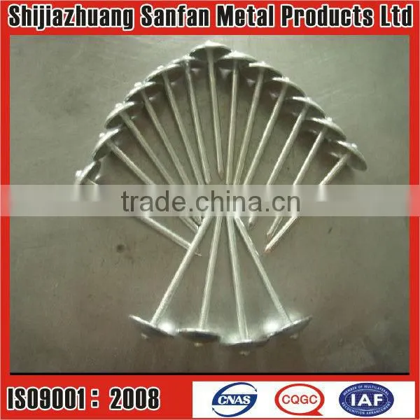 Galvanized Twised Wire Coil Nails
