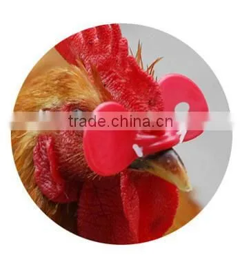 Chick Glasses Poultry Glasses Middle Size Protecting Glasses Large Size photo-2
