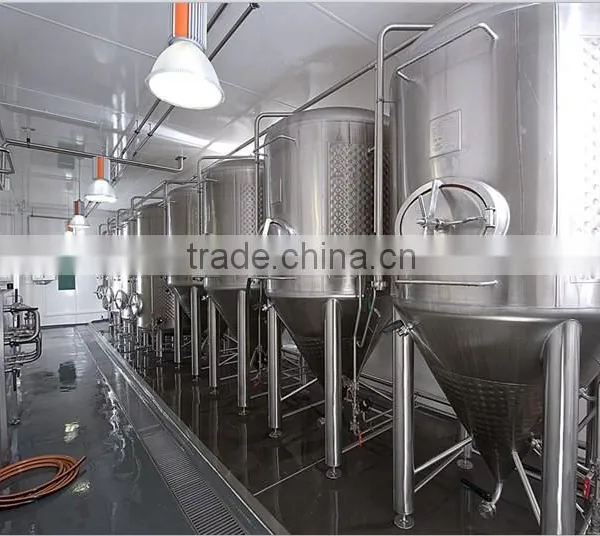 Customized Beer Fermenting Tank