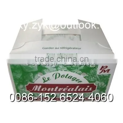 Corrugated PP Apple Packing Case Fruit Storage Carton Packaging Box photo-5