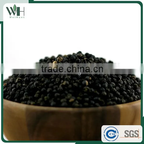 Cambodia Kosher Black Pepper for Importers 550gl 500gl