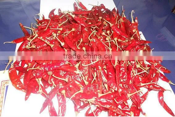Single Herbs & Spices Product Type and Dried Style Red Chilli.