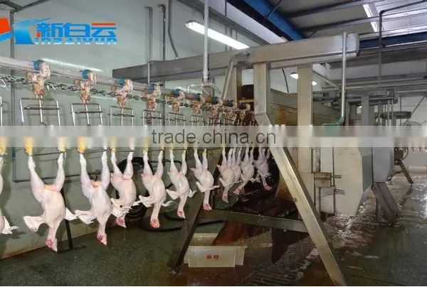 Poultry Abattoir Equipment From China photo-2