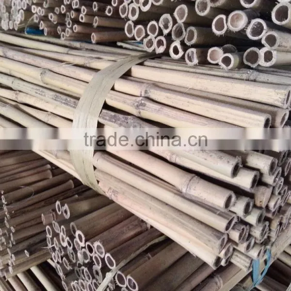 Natural/cheap/raw Eco-friendly Bamboo Poles photo-3