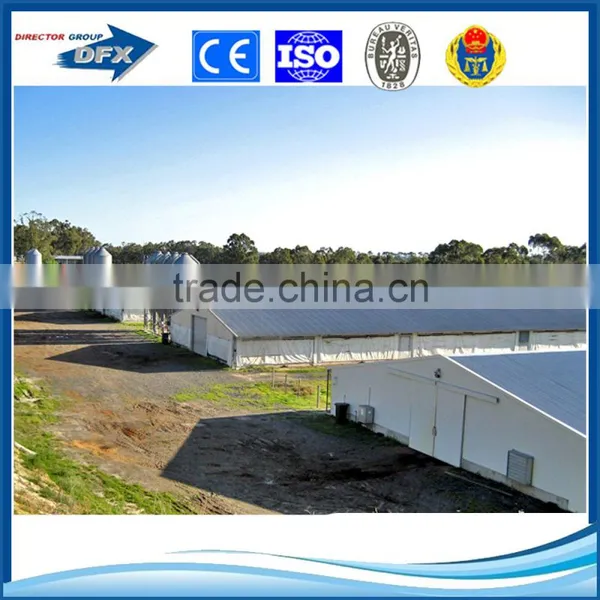 Hot Sell Heat Insulation Chicken Egg Farm Building photo-4