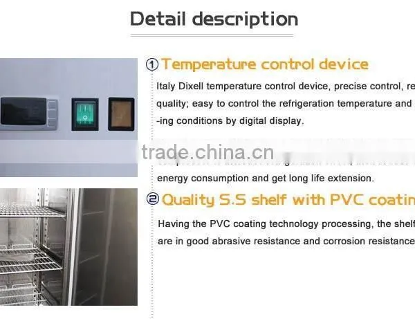 304 Stainless Steel Good Quality Hotel Refrigerator/Kitchen Refrigerator/Gas Operated Refrigerator photo-2