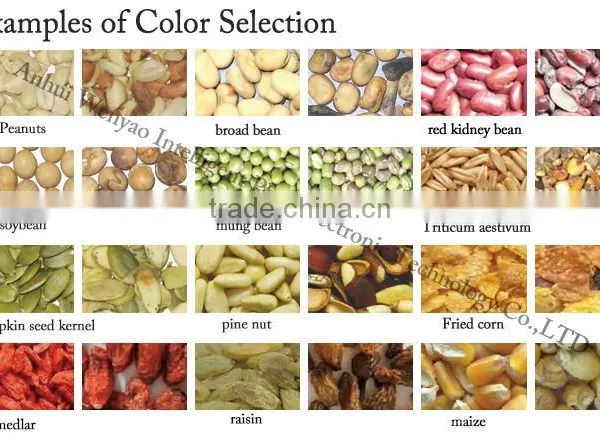 Labour-saving Raisin Color Sorter Equipment/colour Separation Machine/color Grader Machine photo-2