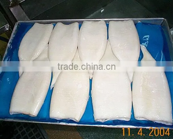 IQF Squid Tube photo-1