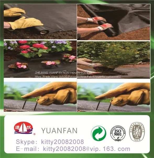 Polypropylene Agriculture Plastic Ground Cover Mesh
