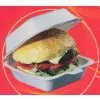 Iran (Islamic Republic Of) Hamburger Container