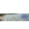 Sell Anti-Insect Net
