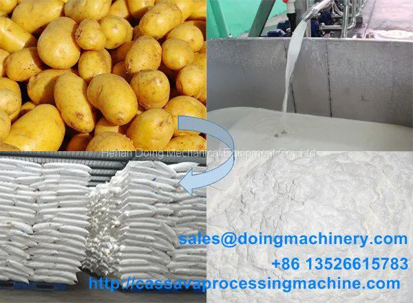 Potato Starch Processing Machine photo-3