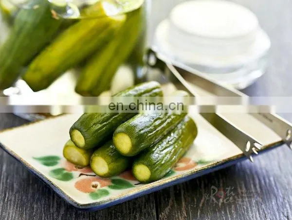 Gherkin Best Price High Quality/Best Canned Food Pickled Cucumber From Vietnam photo-2