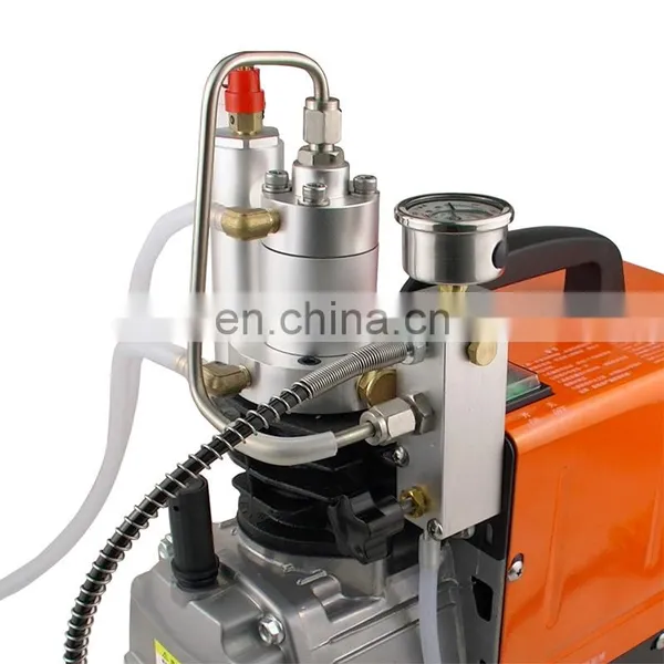 Bison China Gx Cs3 300Bar 4500Psi High Pressure Electric Pcp Pump Air Compressor For Airguns photo-5