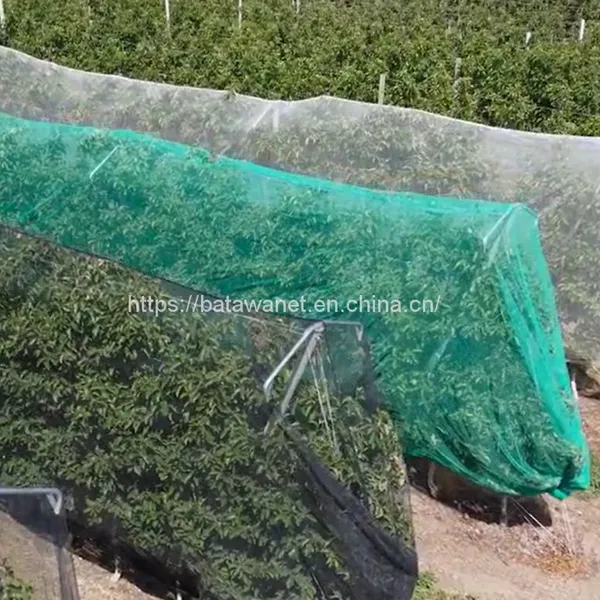 Batawa Original Drape Netting photo-2