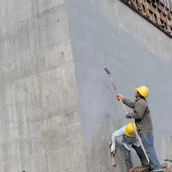 Cpc Anti-carbonation Coating, Two-component and One-component Wear-resistant Coating for Water Conservancy, Hydropower and Bridge Bottom Plates