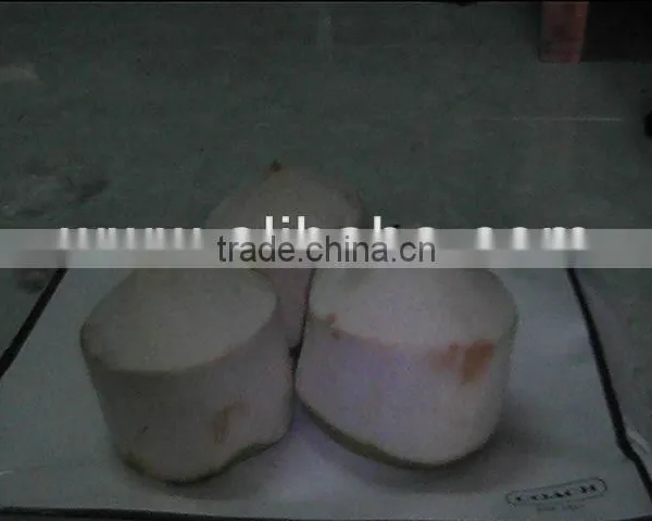 Young Coconut