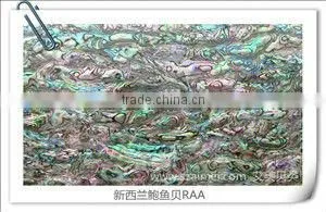 High Quality Natural Abalone Mother of Pearl Shell Paper Shell Sheet Shell Laminate photo-2