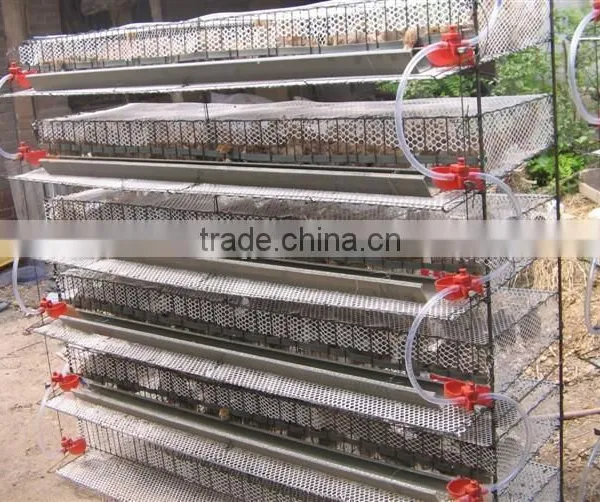 Poultry Quail Cages for Quail Faming