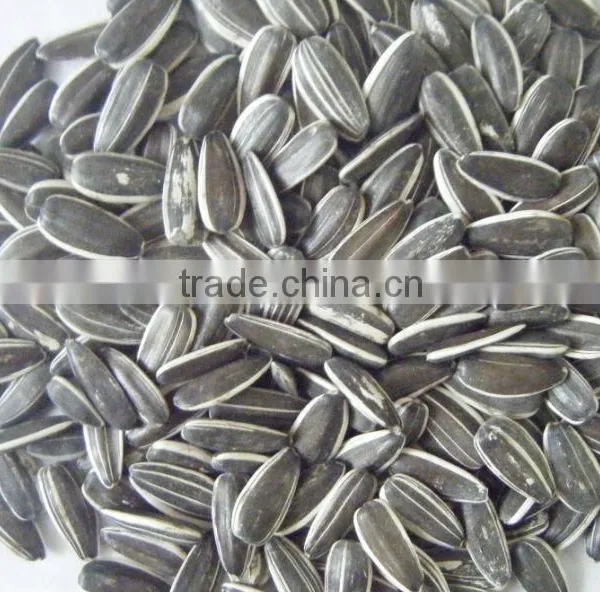 Raw Sunflower Seeds 0409 Stye