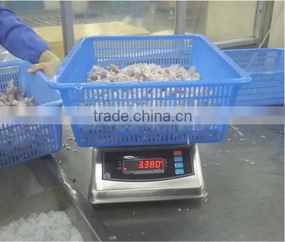 Super ABS Housing Waterproof Scale for Food Market photo-5