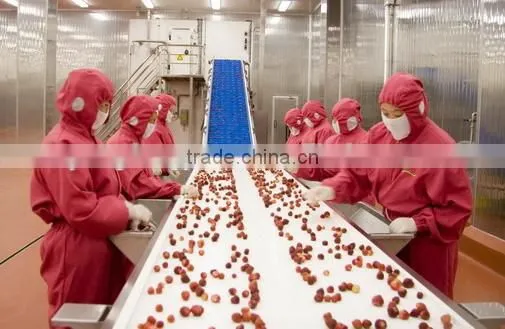 IQF Frozen Strawberry With BRC Kosher Certificate photo-4