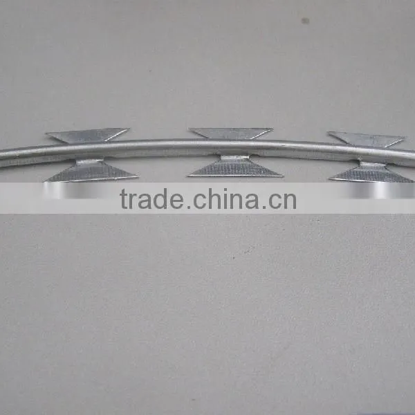 Cheap Razor Barb Wire/galvanized Razor Wire photo-3