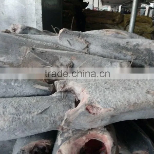 High Quality Seafrozen Swordfish Dwt for Sale photo-3