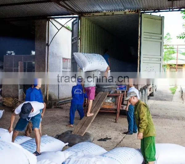 Pure Flavor and High Quality Green Tea SP photo-4