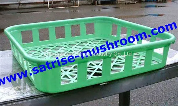 Hot Sale Safe PP Compartment Disposable Frozen Mushroom Trays photo-2