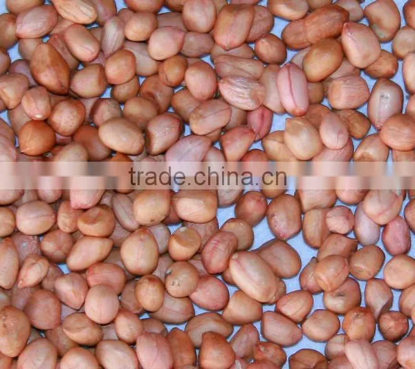 Peanut Kernel