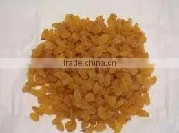 Fresh Golden Raisin photo-2